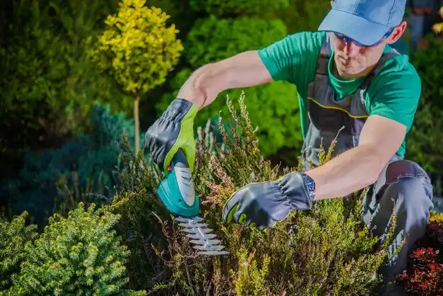 landscaping services Union Star
